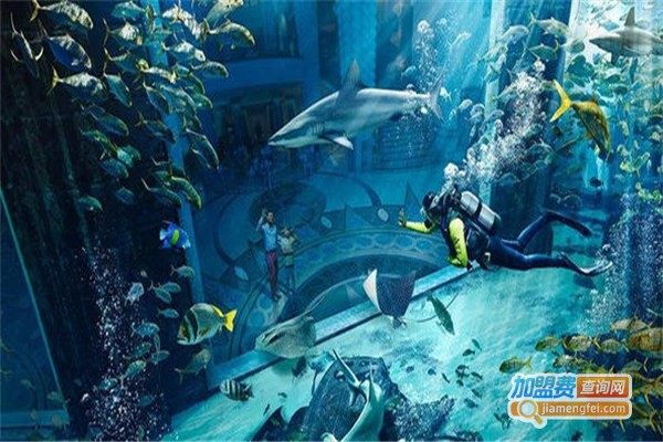 恒毅信水族用品