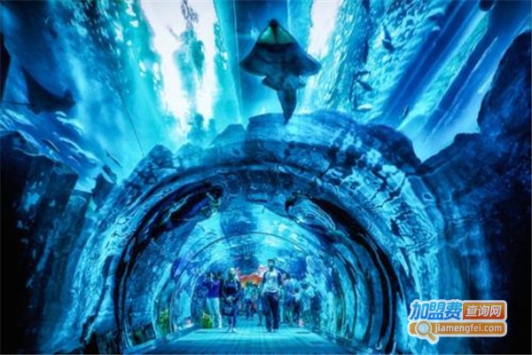 恒毅信水族用品