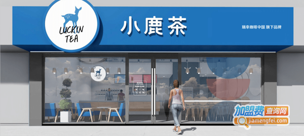 小鹿茶加盟费