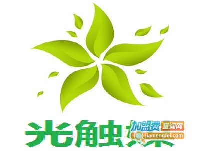 光触媒加盟费
