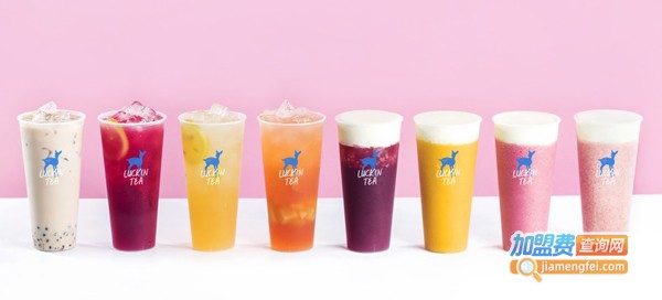 小鹿茶加盟费