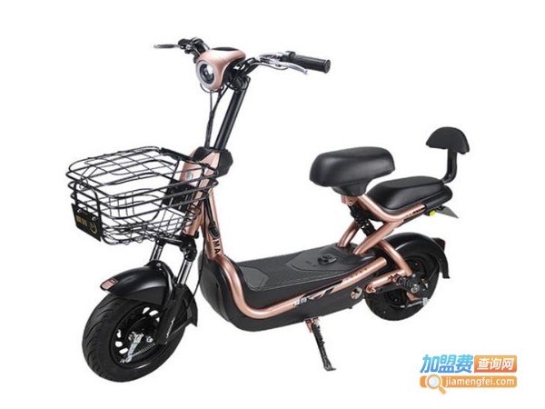 锂电电动自行车