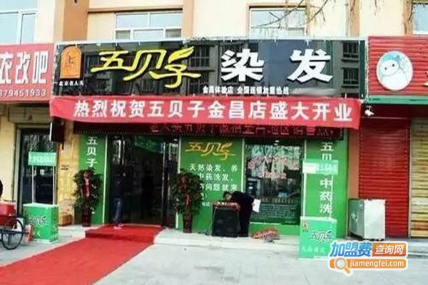 五贝子染发店加盟费