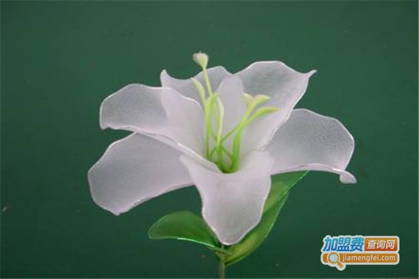 丝网花