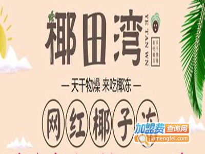 椰田湾椰子冻茶饮加盟