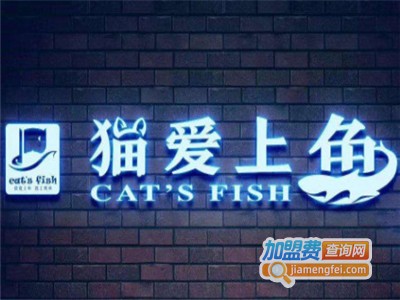 猫爱上鱼纸包鱼