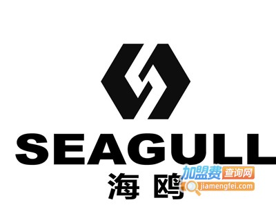 seagull相机加盟