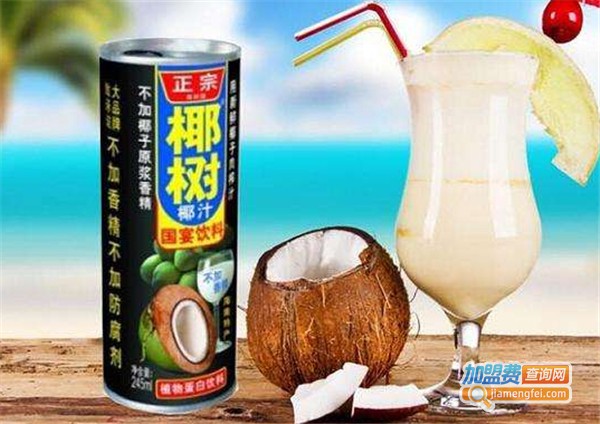 椰树牌椰子汁加盟