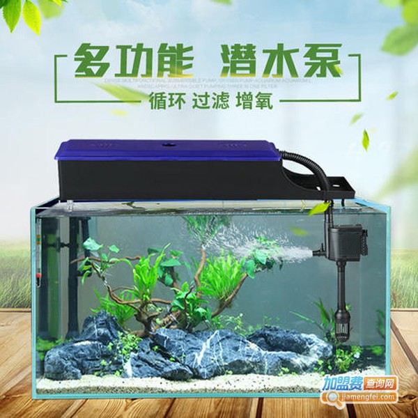 森森水族箱加盟费