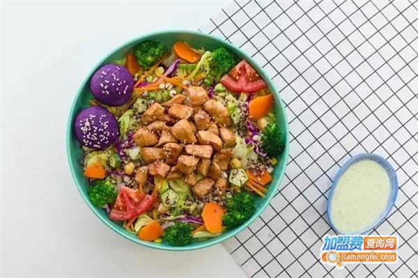 纤维轻食连锁