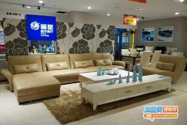 丽星家具