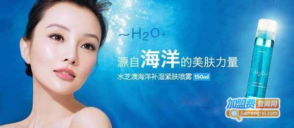 水芝澳