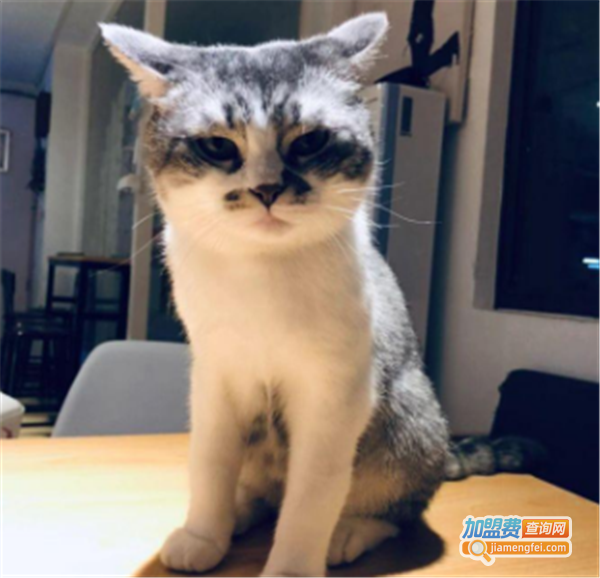玛雪儿