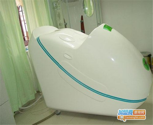国艾熏蒸仪加盟