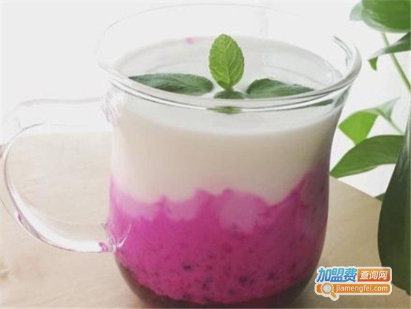 猫果奶茶加盟