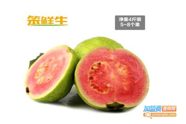 笨鲜生
