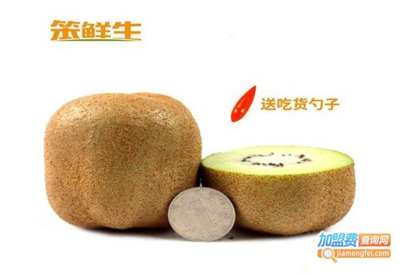 笨鲜生加盟