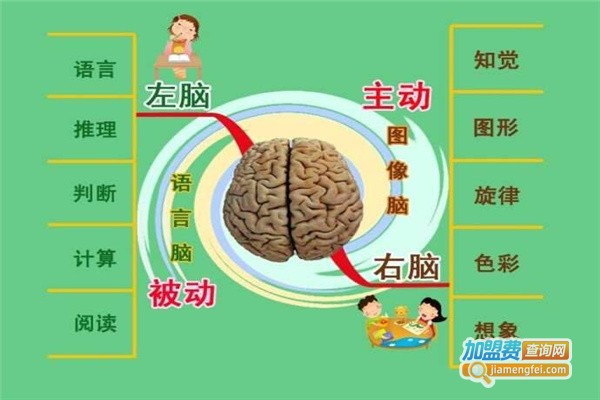 上海全脑开发加盟