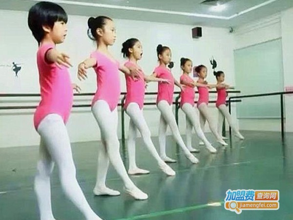 金芭蕾舞蹈培训