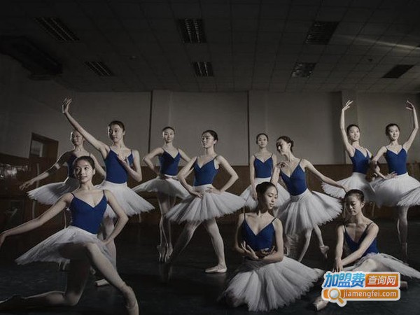 北京舞蹈培训学校加盟费