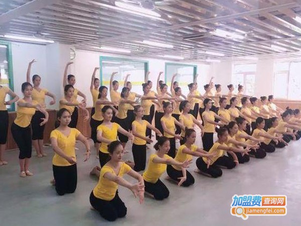 北京舞蹈培训加盟费