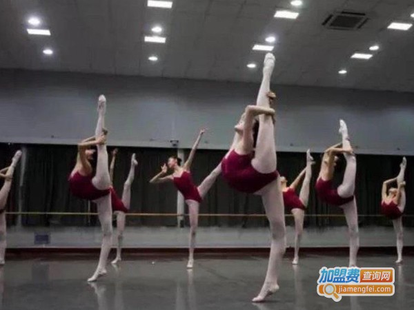 北京舞蹈培训加盟费