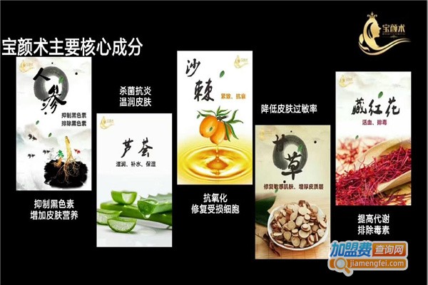 宝颜术祛斑加盟