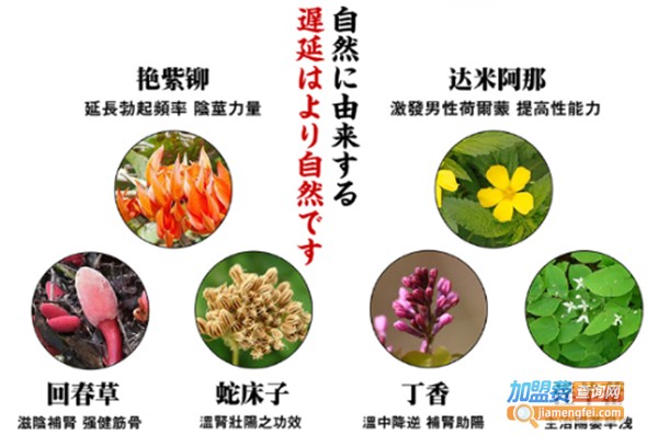 黑豹