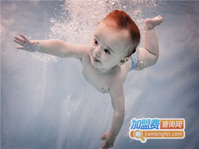 婴儿游泳馆加盟多少钱？