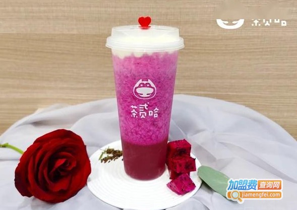 茶贰哈加盟