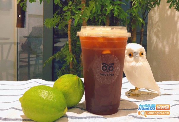 Owl's TEA猫头鹰的柠檬茶