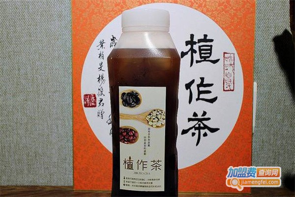 植作茶