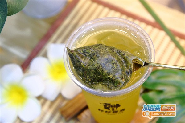 猫头鹰茶森林加盟费