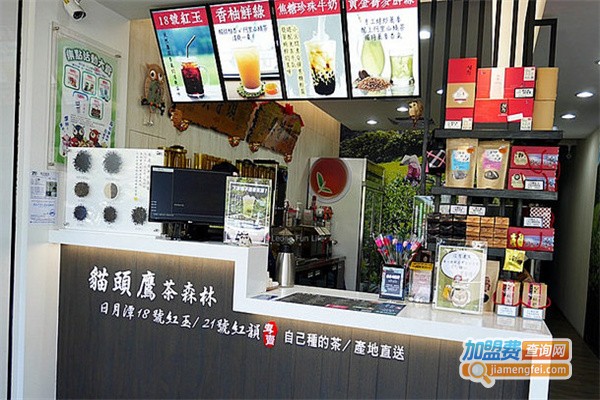 猫头鹰茶森林加盟费