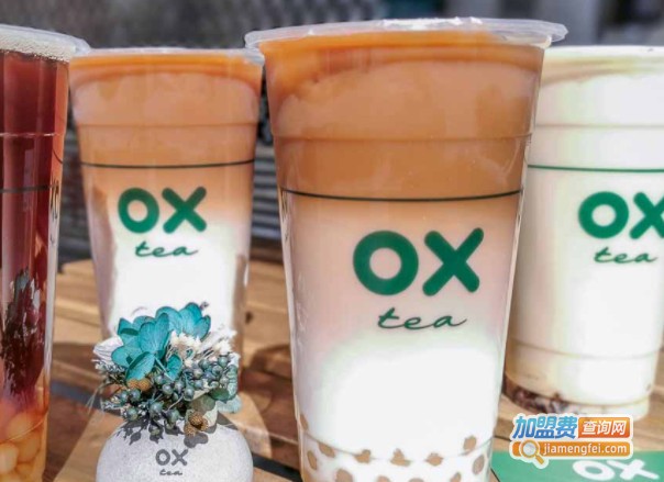 ox·tea加盟费