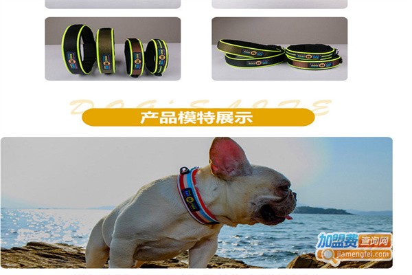 德丰宠物用品