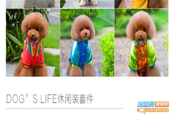 德丰宠物用品