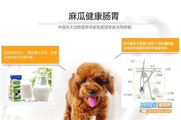 麻瓜宠物用品