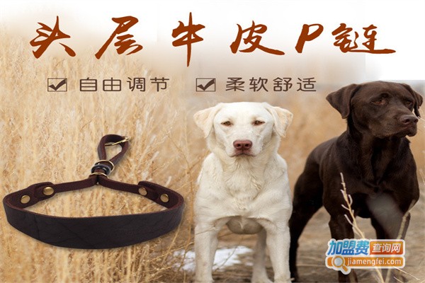 自由犬宠物用品加盟费
