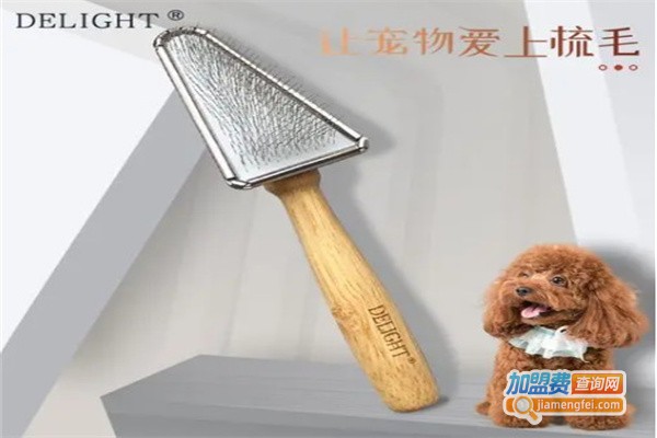 船记宠物用品加盟费