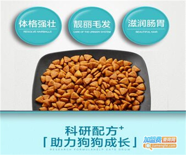 派得宠物用品