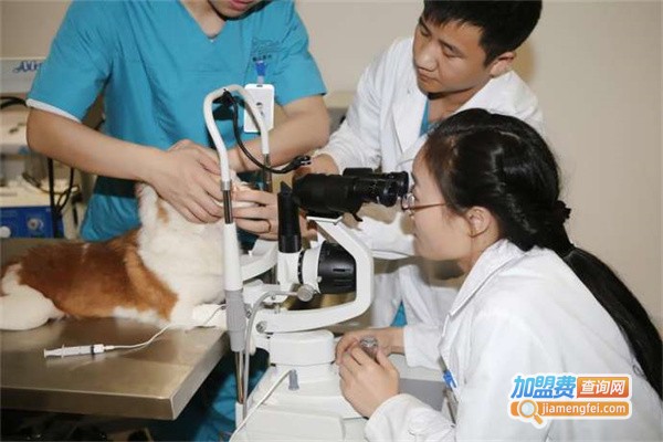 德众联合宠物医院