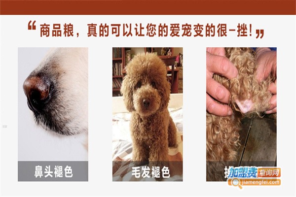 莱西宠物用品