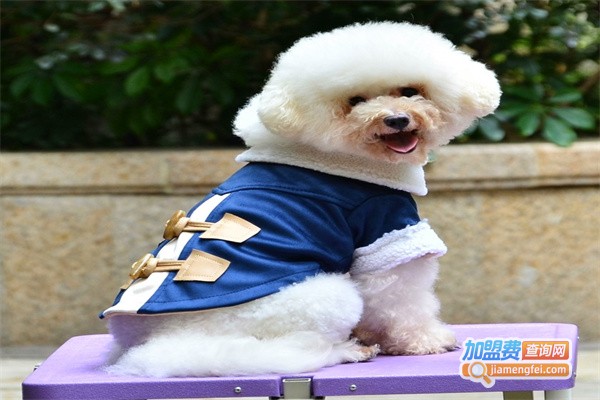 自由犬宠物用品