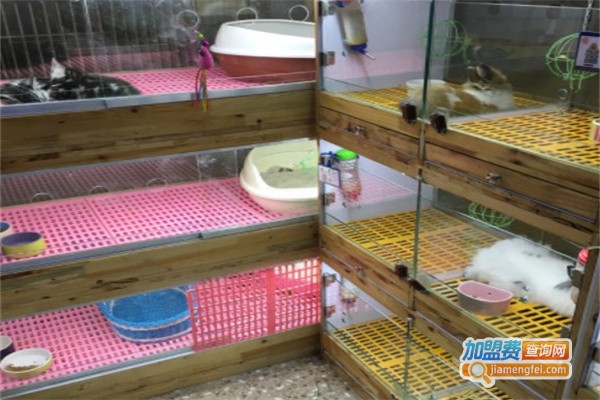 小兔当家宠物店
