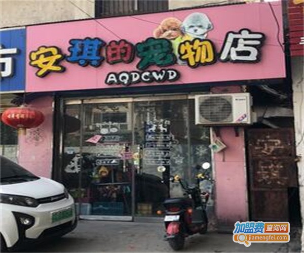 安琪宠物用品