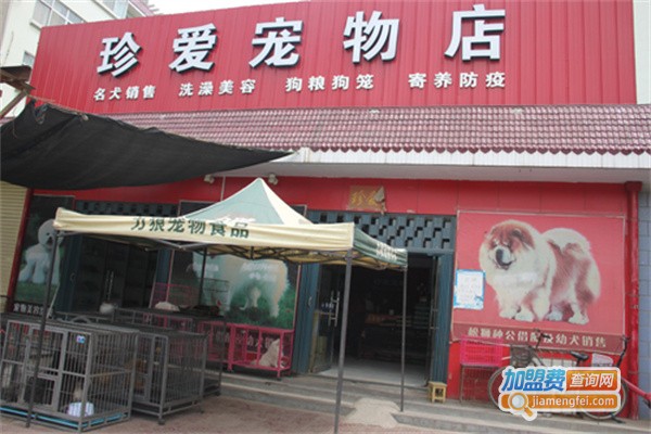 珍爱宠物用品