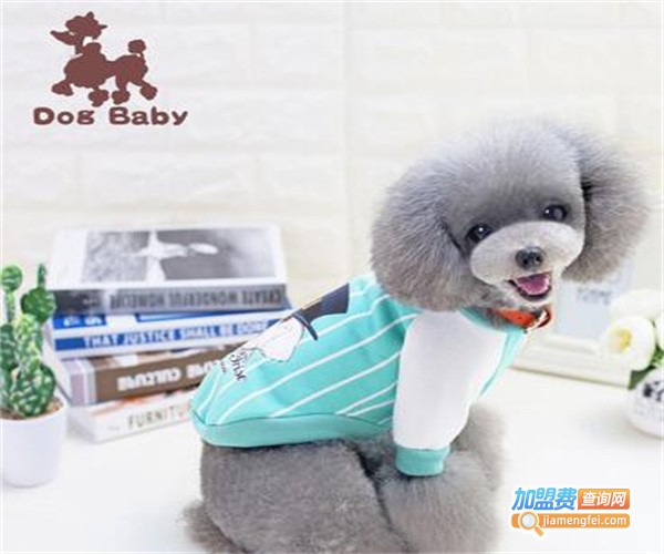 dogbaby宠物用品加盟费