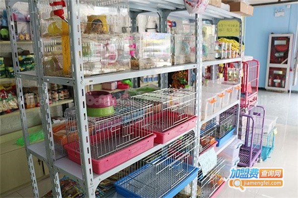 宝贝宠物店