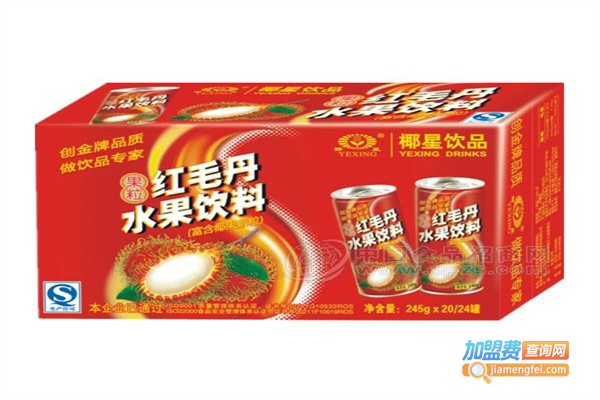 椰星休闲食品加盟